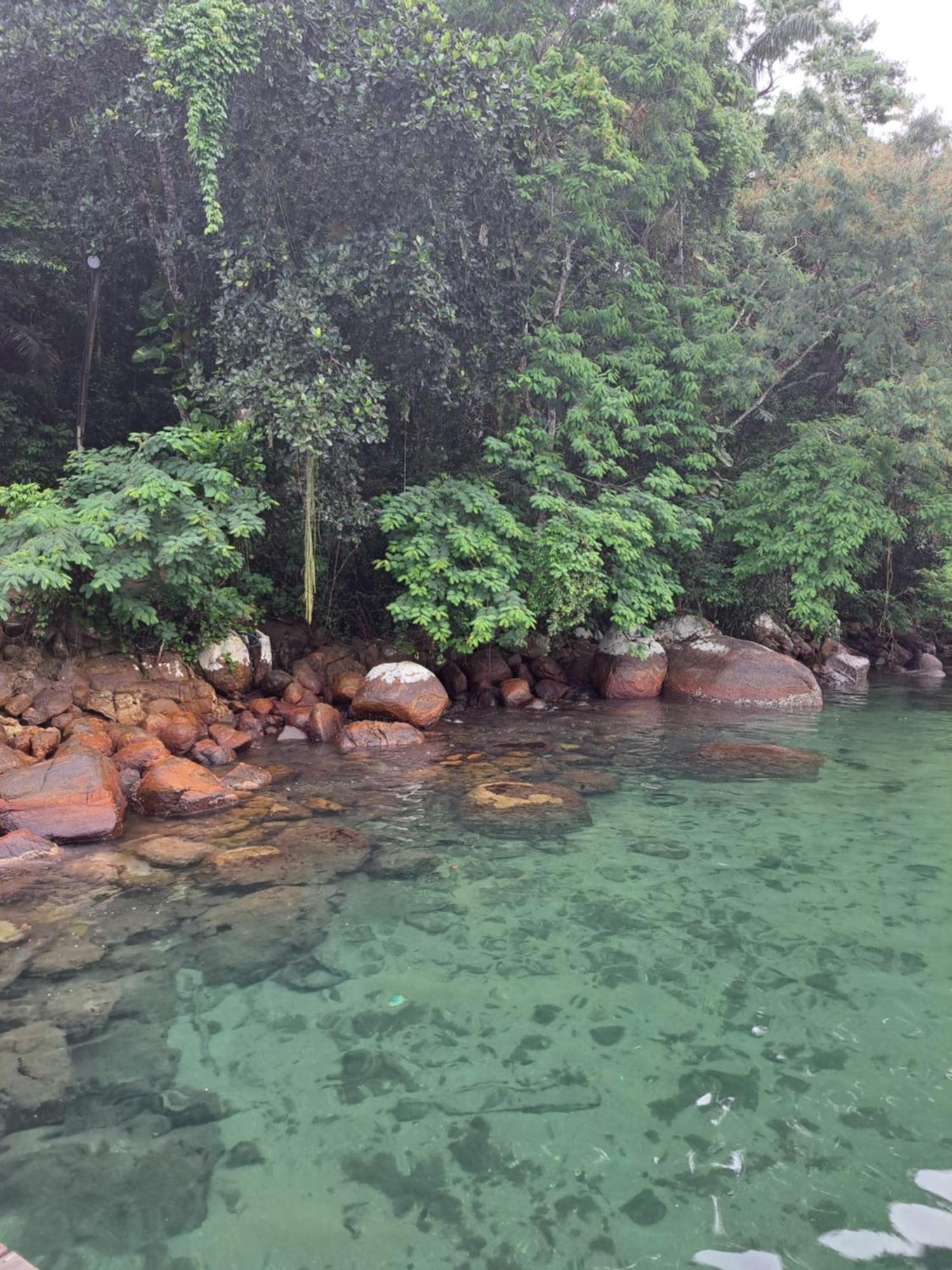 Glamping Sitio Das Tartarugas Angra dos Reis Extérieur photo